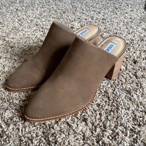 NWOT Steve Madden Shaylon Mules